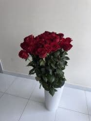 букеты розы: Метровые розы 😍 Сегодняшний 06.11.2025 Можем отправить свежие — 6