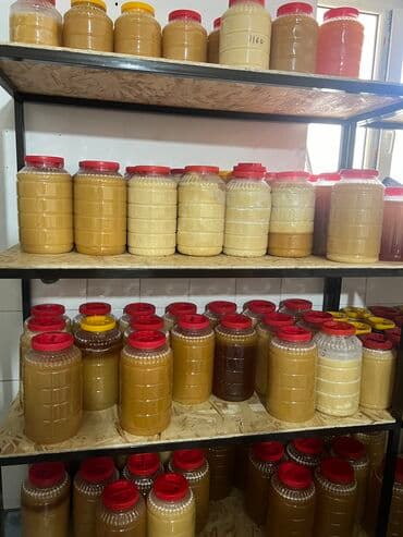 временная: Всем доброго времени суток! Продаем мёд высшего качества с гор — 4