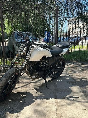 ох 300: Спортбайк Stels, 300 куб. см, Бензин, Взрослый — 4