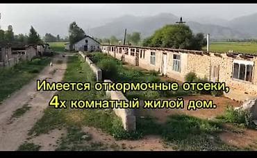 Недвижимость: Продаётся кашар с земельным участком 3 га в селе Ананьево. Основные — 5
