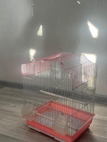 корм для папугая: Корзина, Б/у, Самовывоз — 2