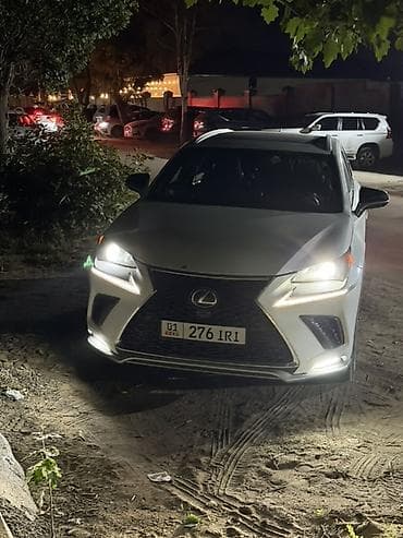 портер 2 чехол: Lexus NX: 2018 г., 2 л, Автомат, Бензин, Кроссовер — 5