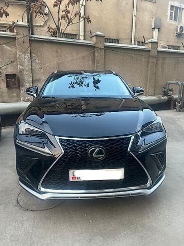 Lexus NX: 2019 г., Автомат, Бензин, Кроссовер