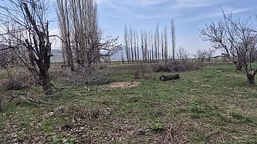 Жер тилкелери: 30 соток, Курулуш — 3