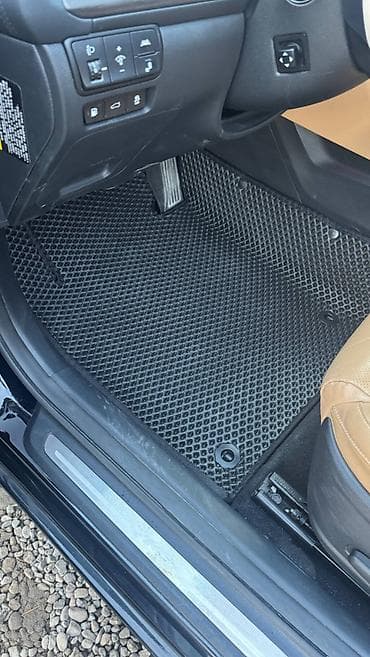 auris: Полики — 10