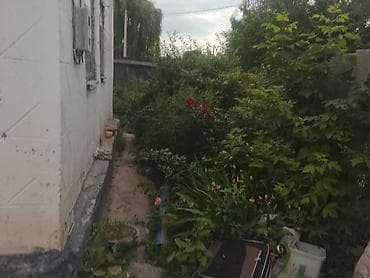 дача надежда: Продаётся участок с домом и хозяйственными постройка ми. 10 соток - — 8