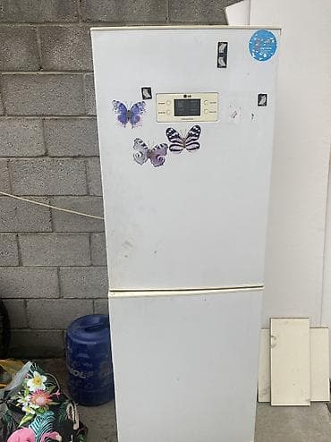 Холодильник LG, Однокамерный, Total no frost — 4