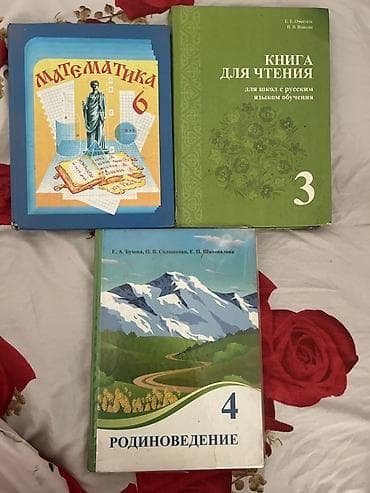 ударный инструмент: Комплект учебников (3 шт.): Математика 6 класс, чтение 3 класс — 1
