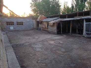 продаю дом бишкек квартира: Времянка, 53 м², 3 комнаты, Собственник — 12