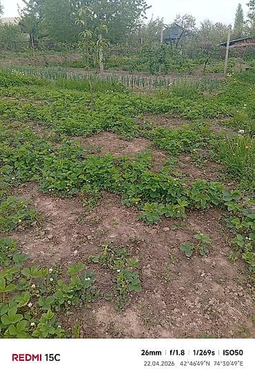 участок фурхат: Село Сарбан,
джал улица средняя 24 (автобус 23) — 9