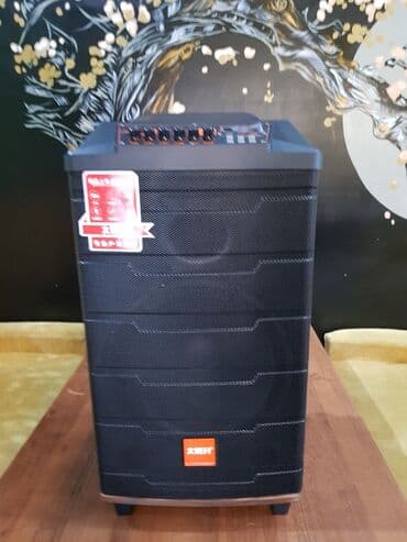 Аренда портативной колонки с микрофоном. ( Колонка на аккумуляторе) at lalafo.kg Аренда портативной колонки с микрофоном. ( Колонка на аккумуляторе)