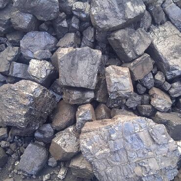 купить сирень в бишкеке: Coal briquettes — 10
