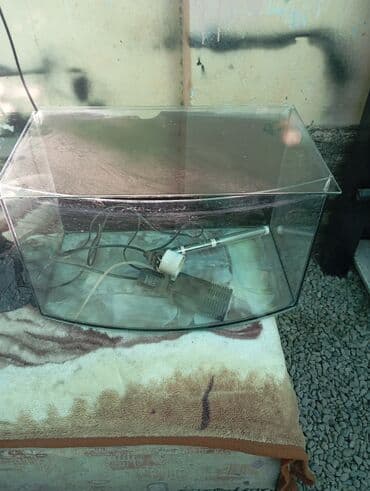 аквариумный нагреватель: Прозрачный аквариум с изогнутой передней стенкой, подходящий для — 1
