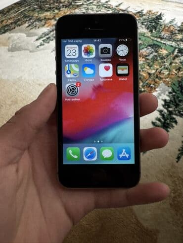 скание: IPhone 5s, Space Gray — 6