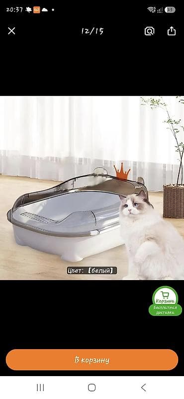 коти: Лоток для кота. 50х30см и высота 15см. Цвет белый как на фото. Цена — 1
