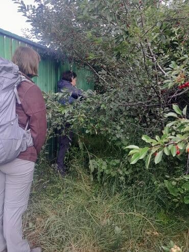 продаю дом село арашан: Дом, 75 м², 5 комнат — 6