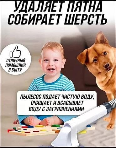 моющий пылесос для мебели: Моющий пылесос 1ZpYIL — компактное решение для сухой и влажной уборки — 2