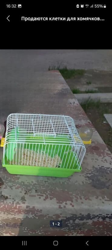 декоративный кролики: Продаю клетки для хомячков от 500 до 1500 сом. сирийских хомячков и — 16
