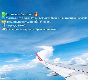 Туристические услуги: Авиабилеты по выгодным ценам - Направления: Москва, Стамбул, Дубай - — 3