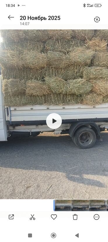 наполнитель для животных: Чоп аралаш камыш сатылат доставка мн — 3