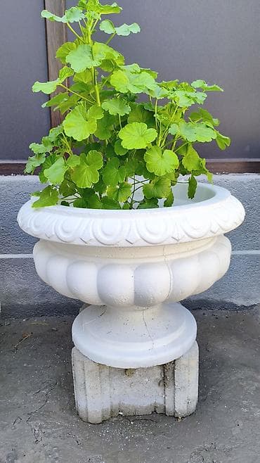 4 pot: Стильные и прочные бетонные вазоны для дома и улицы 🌿 Высота — 40/42 — 3