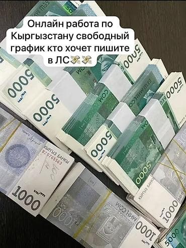 Онлайн‑работа по Кыргызстану. Свободный график. Подходит тем, кто