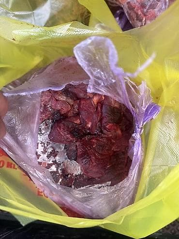 авган кой: Мясо для собак до 200 кг могу собрать Цена 170 сом килограмм — 2