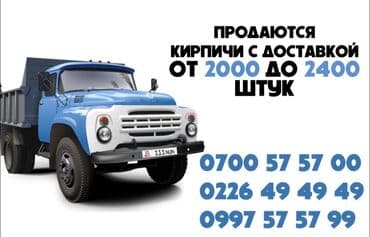 Пустотелый, дырчатый, Жженый кирпич, Полублок, 250×120×90