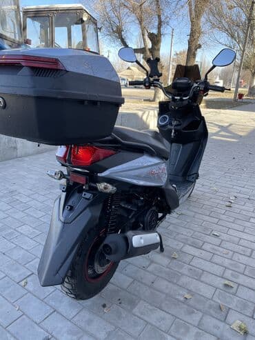 сколько стоит скутер самурай: Тип скутера 150 куб. см, Бензин, Новый — 6