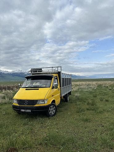 спринтерге донголок: Mercedes-Benz Спринтер: 1997 г., 2.9 л, Механика, Дизель — 5