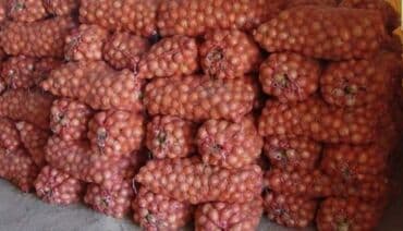 Кухонные принадлежности: Лук Оптом — 1