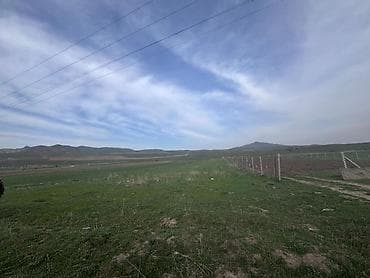 купить пасеку: 50 соток, Для сельского хозяйства — 6