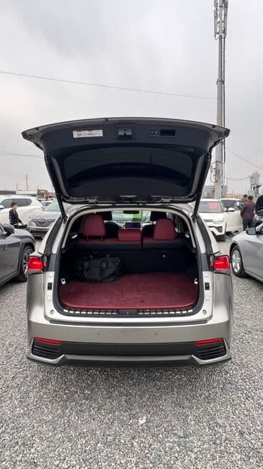 полик нексия 2: Lexus NX: 2018 г., 2.5 л, Вариатор, Бензиновая, Кроссовер — 3