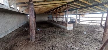 дом село военно антоновка: Дом, 1000 м², 2 комнаты, Собственник, Старый ремонт — 9