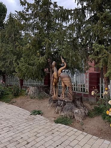 Отдых на Иссык-Куле: Аренда квартиры на Иссык-Куле, Радуга West, Кош-Кол, Цена Целиком за жилье — 4