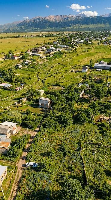 кв город балыкчы: 10 соток, Красная книга — 4
