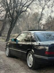 фаркоп б3: Mercedes-Benz E-Class: 1992 г., 2.3 л, Автомат, Бензин, Купе — 9