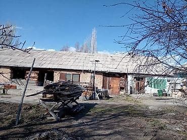ищу работу отель: ПРОДАЁТСЯ ДОМ С УЧАСТКОМ 1 ГЕКТАР В СЕЛЕ Григорьевка (район пристани) — 7