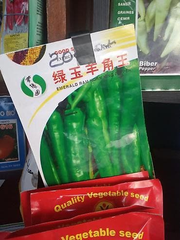 Продается семена Китай новичок помидор — 3