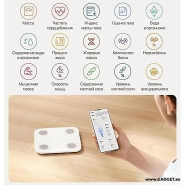 Умные весы позволят вам точно определить вес и количество жира в
