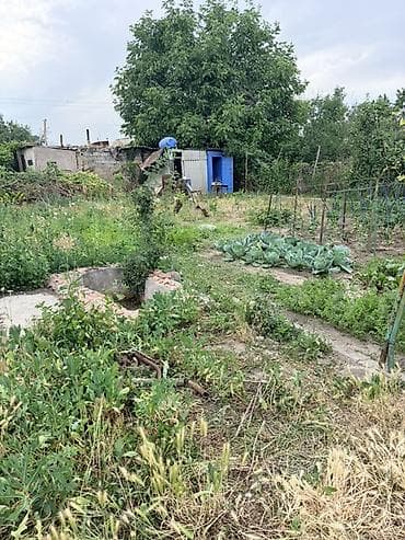жм восток: Продаётся дачный участок с кирпичным домиком и ухоженным огородом — 6