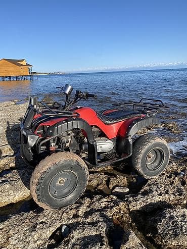 сервопривод купить: Квадроцикл Подходит для: - Прогулок по бездорожью, рыбалки, охоты - — 9