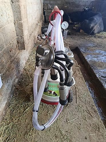 ремонт марожный апарат: Доильный аппарат на тележке - Тип: мобильный вакуумный доильный — 3