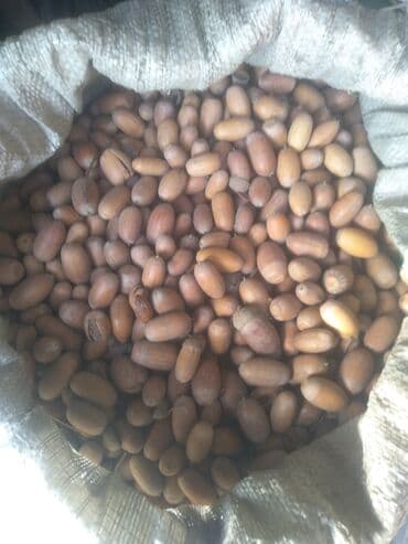 обмен с доплатой: Samsung A10e, Б/у, 32 ГБ — 2