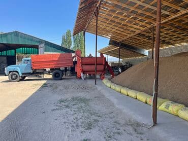 семена озимого ячменя: Семена кормовых растений: Эспарцет, Самовывоз — 5