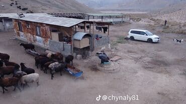 Майлуу -Сайга жакын жайгашкан кашар сатылат. бетон.темир. кирпич менен — 7