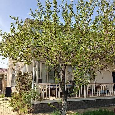 семье: Шаардын устунку аймагынан 2 кабаттуу үй сатылат.Юж Магистраль — 5