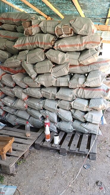 фарель рыба: Дрова Сосна — 2