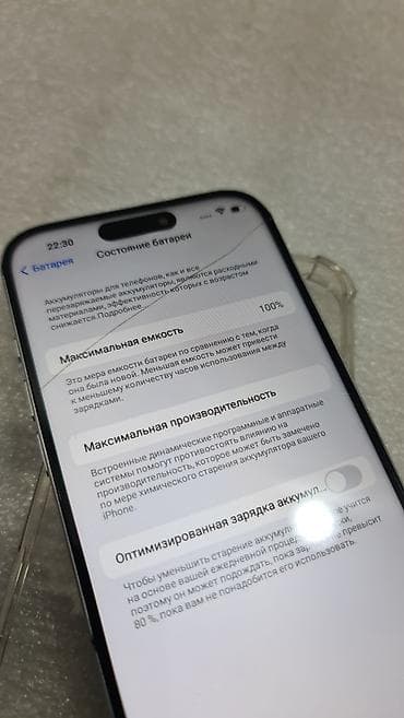 iphone 11mini: IPhone 17 Pro Max, Б/у, 1 ТБ, Серебристый, Чехол, 100 % — 8