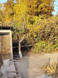 продажа дом село токмок: Дом, 80 м², 2 комнаты, Собственник, Дизайнерский ремонт — 16